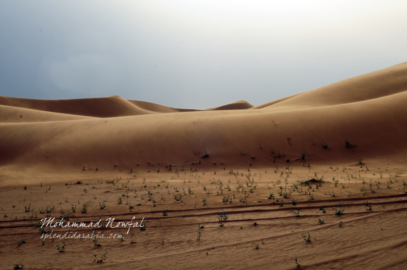 an nafud desert location